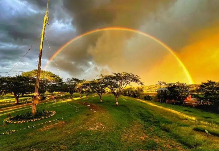 Screenshot_20251127_172023_WhatsApp