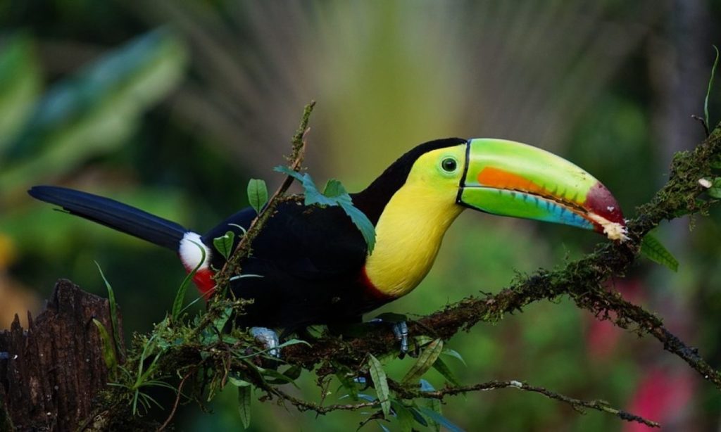 Belize adventure travel