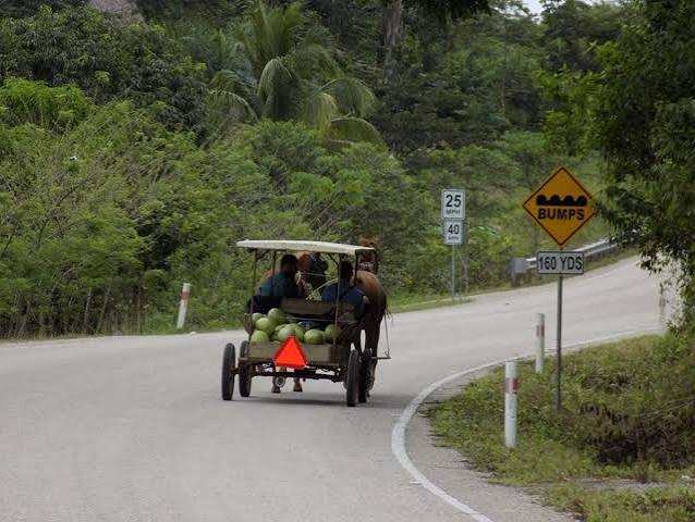 George Price Highway drive