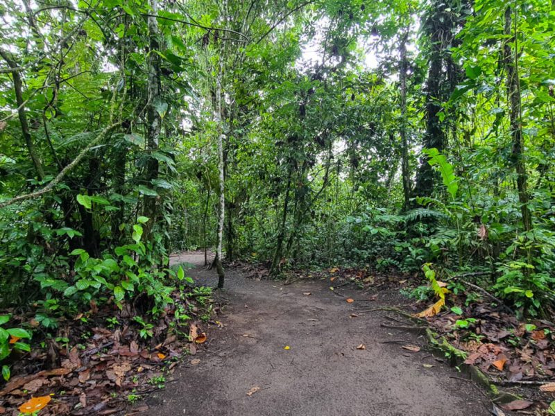 best area to stay Cayo Belize